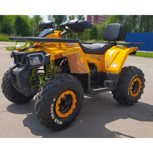 MOTOLAND WILD TRACK X 200 желтый/черный