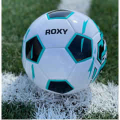 Мяч ф/б INGAME ROXY р.5 голубой