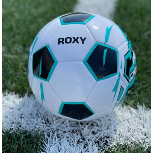Мяч ф/б INGAME ROXY р.5 голубой