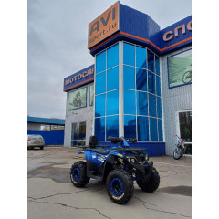 MOTOLAND WILD TRACK LUX 200 синий