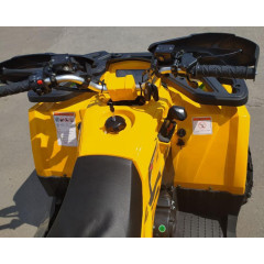 MOTOLAND WILD TRACK X 200 желтый/черный