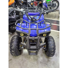 MOTOLAND ATV E009 1000Вт (игрушка)