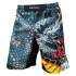 Шорты для MMA Rusco Sport Dragon взрослые, р. 44 (S)