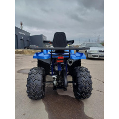 MOTOLAND WILD TRACK LUX 200 синий