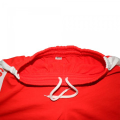 Шорты для самбо BoyBo BSS450, цвет красный, Рост:190