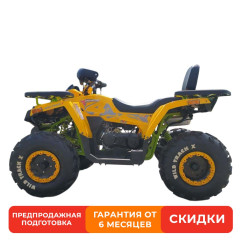 MOTOLAND WILD TRACK X 200 желтый/черный