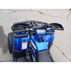 MOTOLAND WILD TRACK LUX 200 синий