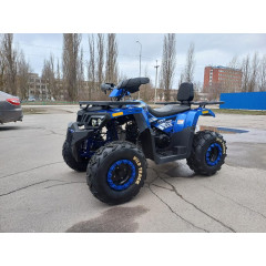 MOTOLAND WILD TRACK LUX 200 синий