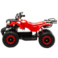 MOTOLAND ATV E009 1000Вт (игрушка)