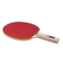 Ракетка н/т Virtey 12102 HOBBY