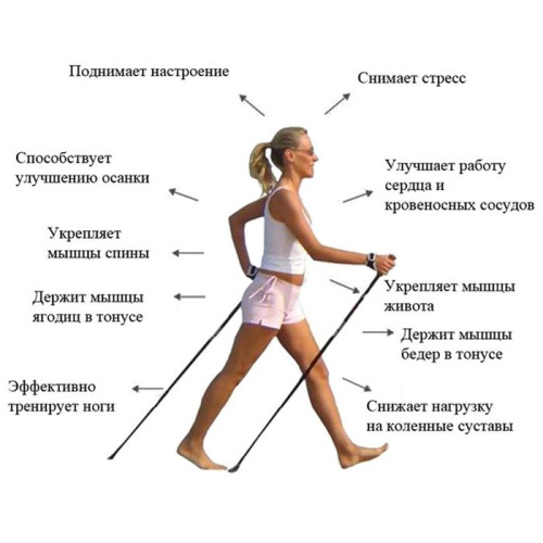 Палки для скандинавской ходьбы ONLYTOP 110 см, цвет зелёный (1129550)