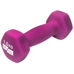 Гантель для фитнеса SPRINTER GO DO неопрен 1кг, фиолетовый