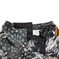 Шорты для MMA Rusco Sport Dragon взрослые, р. 44 (S)