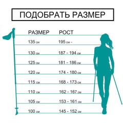 Палки для скандинавской ходьбы EXTREME 100
