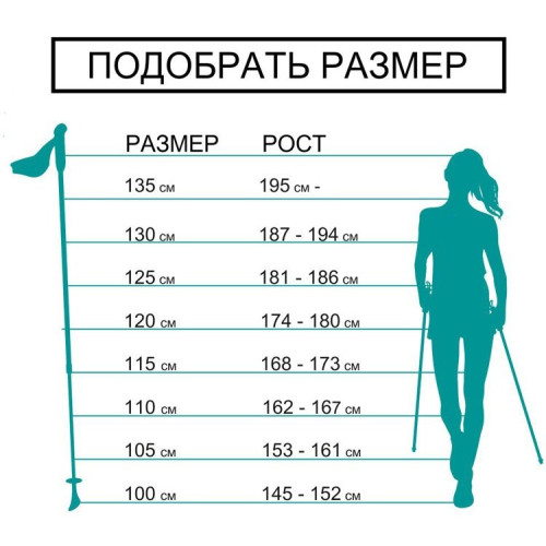 Палки для скандинавской ходьбы EXTREME 100