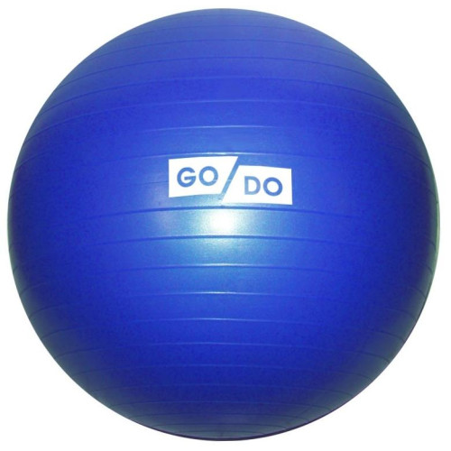Мяч гимнастический GO DO FB-55, d - 55 см