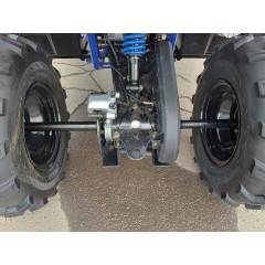 MOTOLAND WILD TRACK LUX 200 синий