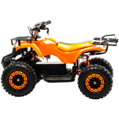 MOTOLAND ATV E009 1000Вт (игрушка)