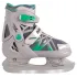 Коньки со сменным шасси BLACK AQUA AS-410 р.39-42, цв. серый/зеленый