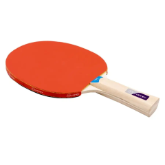 Ракетка н/т Virtey 12201 TNNS 2*