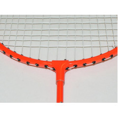 Набор для бадминтона SPRINTER V-3011