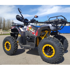 MOTOLAND ALL ROAD X 200 серый*3