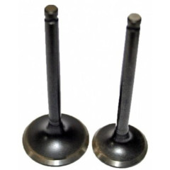Клапан 4T 139QMB 50/80см3 (d=16.5/18) (l=69/69)