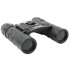 Бинокль NORIN 10x25 black