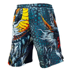 Шорты для MMA Rusco Sport Dragon взрослые, р. 44 (S)