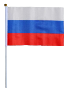 Флаг РООСИЯ 14 х 21 см, шток 30 см, полиэфирный шёлк (2763498)