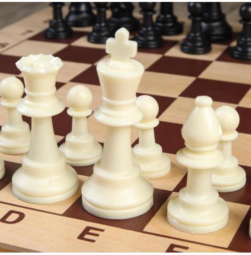 Фигуры шахматные обиходные, пластиковые (король h9.7 см, пешка 4.2 см)  (4339335)