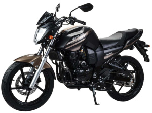 Мотоцикл Motoland BANDIT 300 черный/коричневый