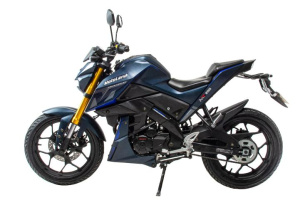 Мотоцикл Motoland MT250 (172FMM-5/PR250) т. синий