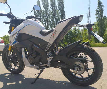 Мотоцикл Motoland MT250 (172FMM-5/PR250) белый *6