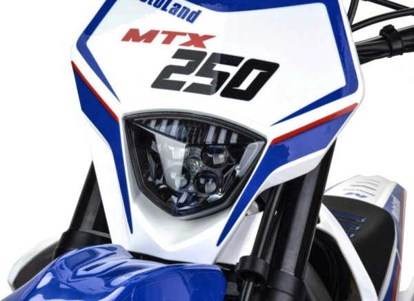 Мотоцикл Кросс Motoland MTX250 (172FMM)