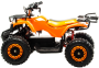 MOTOLAND ATV E009 1000Вт (игрушка)